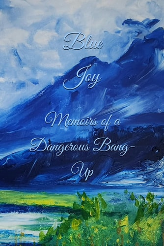Blue Joy Memoirs of a Dangerous Bang-Up