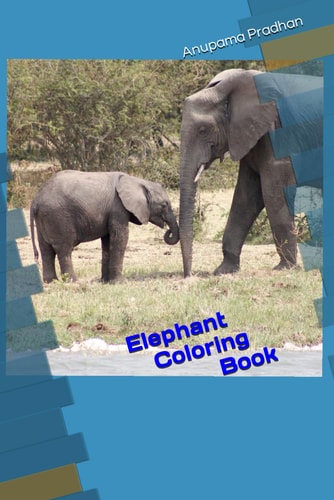 Elephant Coloring Book