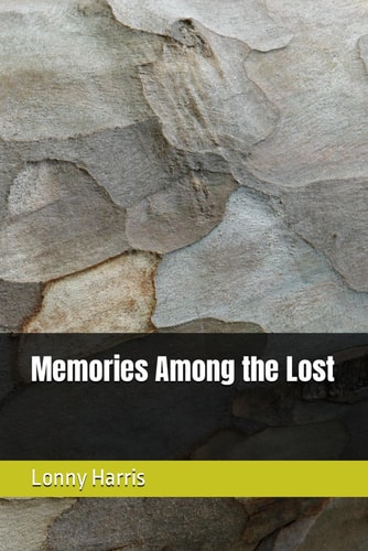 Memories Among the Lost