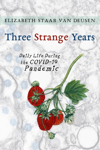 Three Strange Years Daily Life During the COVID-19 Pandemic