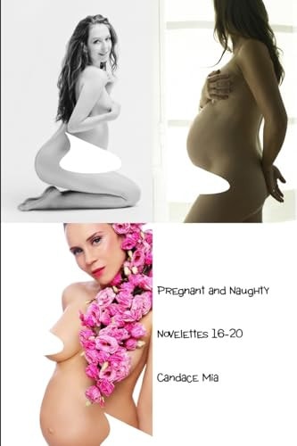 Pregnant and Naughty Novelettes 16-20