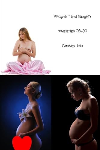 Pregnant and Naughty Novelettes 26-30