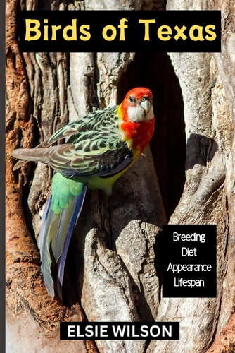 Birds of Texas Guide to Exploring Birds in Texas