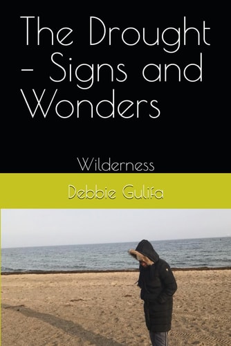 The Drought - Signs and Wonders Wilderness