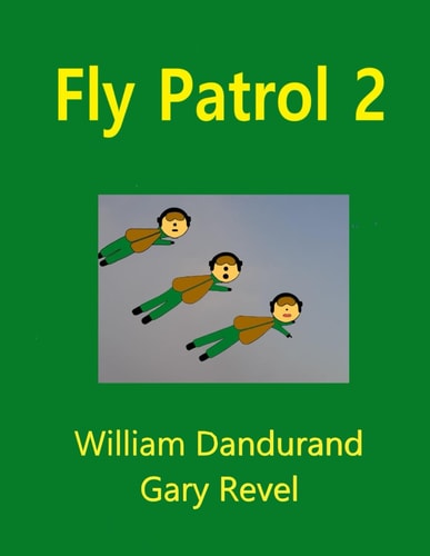 Fly Patrol 2