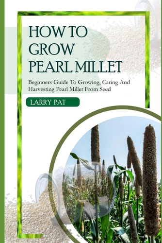 How to Grow Pearl Millet Beginners Guide to Growing, Caring and Harvesting Pearl Millet from Seed