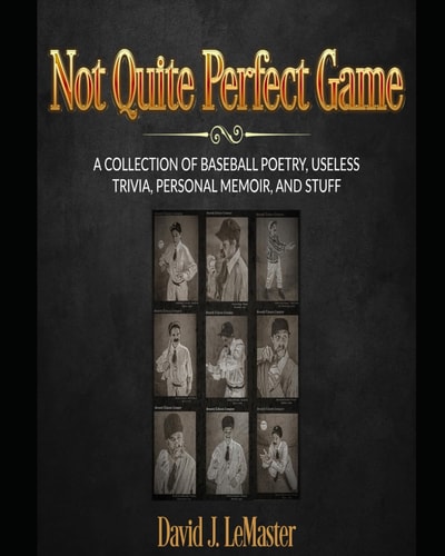 The Less Than Perfect Game A Selection Of Baseball Poetry, Personal Memoirs, Useless Trivia, and Stuff