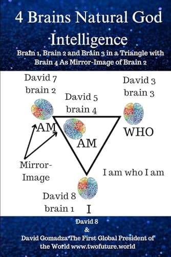 4 Brains Natural God Intelligence Brain 1, Brain 2 and Brain 3 in a Triangle with Brain 4 As Mirror Image Of Brain 2
