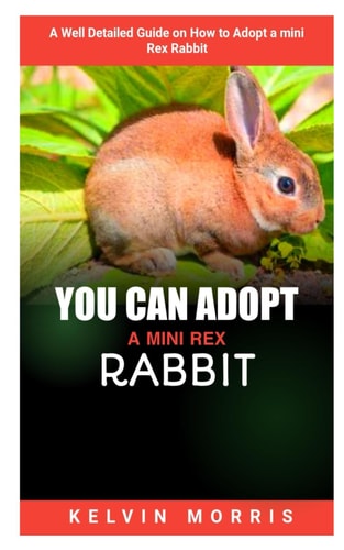 You Can Adopt a Mini Rex Rabbit A Well Detailed Guide on How to Adopt a Mini Rex Guide