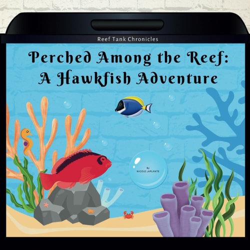 Perched Among the Reef A Hawkfish Adventure