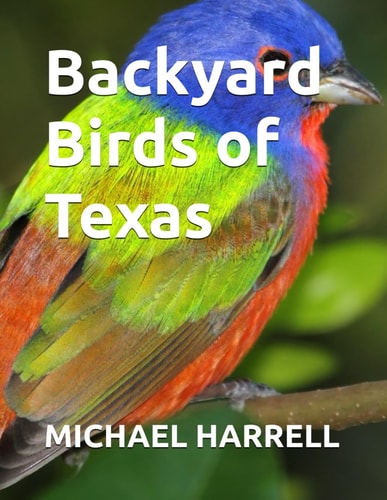 Backyard Birds of Texas