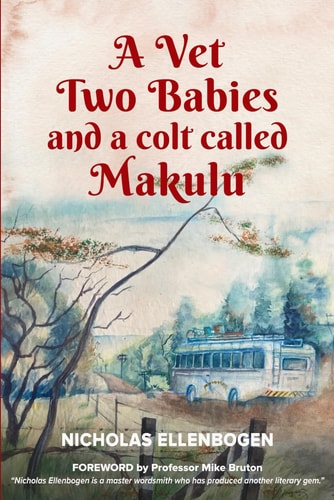 A Vet, Two Babies and a Colt Called Makulu