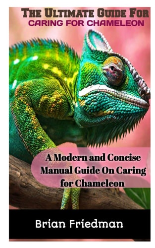 The Ultimate Guide for Caring for Chameleon A Modern and Concise Manual Guide on Caring for Chameleon