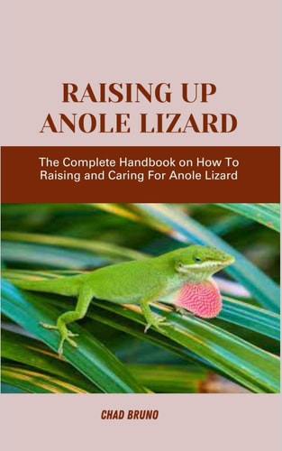 Raising Up Anole Lizard The Complete Handbook on How To Raising and Caring For Anole Lizard