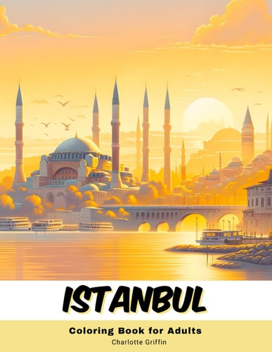 Istanbul Coloring Book for Adults 40 Pages of Istanbul Landmarks