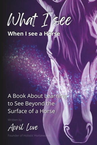 What I See When I See a Horse Learning to See Beyond the Surface of a Horse