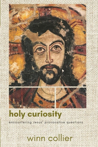 Holy Curiosity Encountering Jesus' Provocative Questions