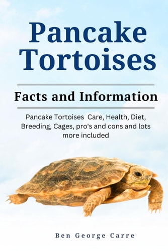 Pancake Tortoises Pancake Tortoises Care, Health, Diet, Breeding, Cages, Pros and Cons and Lots More Included
