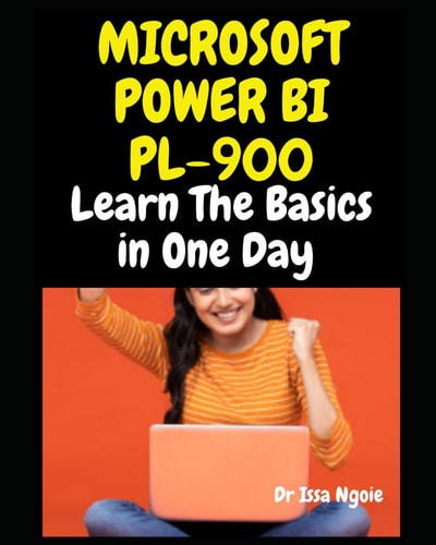 Microsoft Power Bi Pl-900 Learn The Basics in One Day