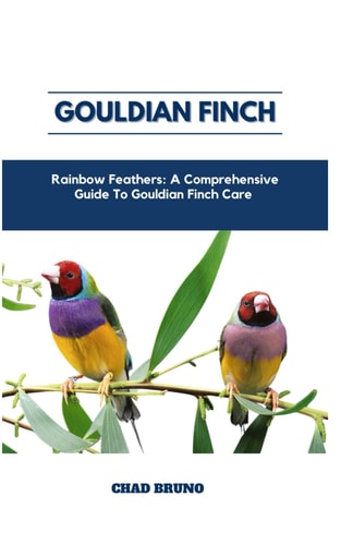 Gouldian Finch Rainbow Feathers: A Comprehensive Guide To Gouldian Finch Care