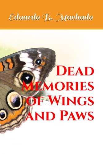 Dead Memories of Wings and Paws