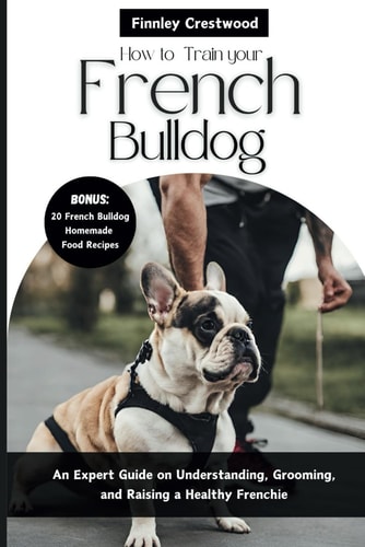 How to Train Your French Bulldog An Expert Guide on Understanding, Grooming, and Raising a Healthy Frenchie