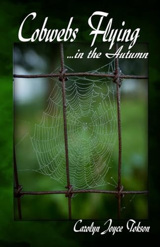 Cobwebs Flying ...in the Autumn