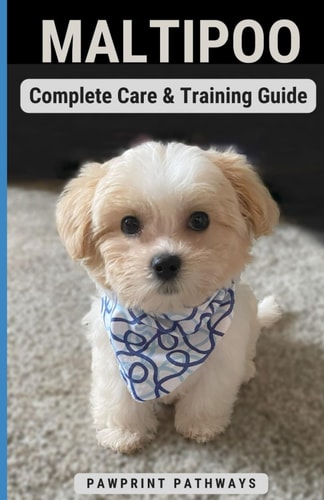Maltipoo Complete Care & Training Guide How to Give Your Pup His Best Life