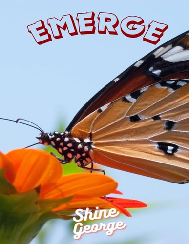 Emerge Overcoming Failures and Setbacks: Turning Challenges Into Opportunities