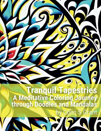 Tranquil Tapestries A Meditative Coloring Journey Through Doodles and Mandalas