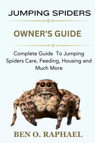 Jumping Spider Complete Guide To Jumping Spiders Care, Feeding, Housing and Much More