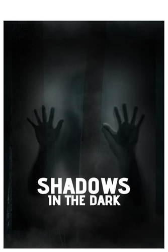 Shadow in the Dark Secrets of Perkingshire University