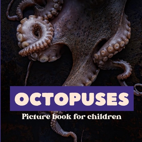 Octopuses Picture Book for Children