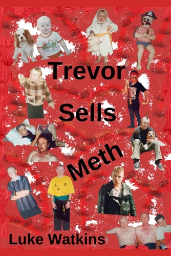 Trevor Sells Meth