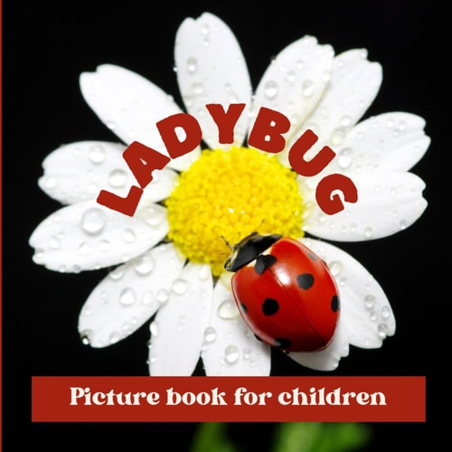 Ladybug Picture Book for Children