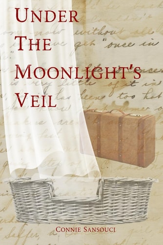 Under The Moonlights Veil