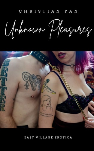 Unknown Pleasures East Village Erotica