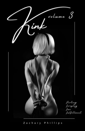 Kink Volume 3