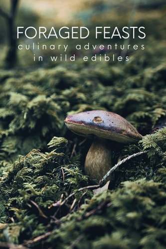 Foraged Feasts Culinary Adventures in Wild Edibles