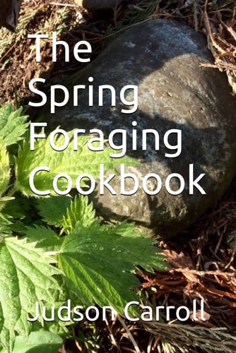 The Spring Foraging Cookbook
