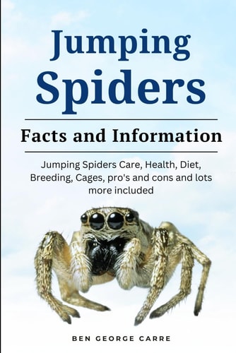 Jumping Spider Jumping Spiders Care, Health, Diet, Breeding, Cages, Pro's and Cons and Lots More Included