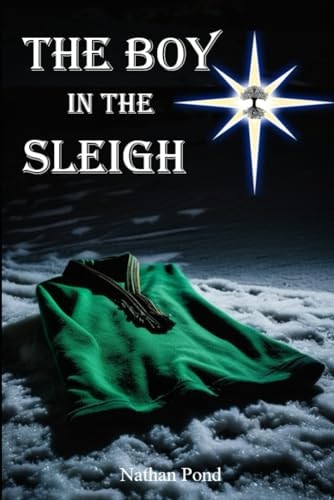 The Boy in The Sleigh