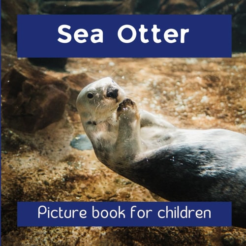 Sea Otter Picture Book for Children