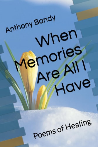 When Memories Are All I Have Poems of Healing
