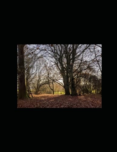 In Search of Shade Lyrics and Poems: 1991-2000