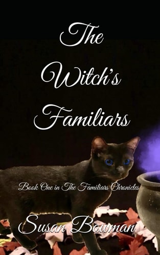 The Witch's Familiars Book One in The Familiars Chronicles