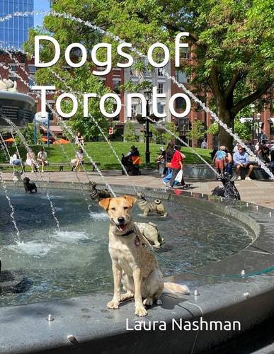 Dogs of Toronto
