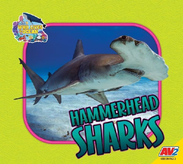 Hammerhead Sharks