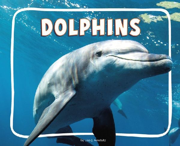 Dolphins