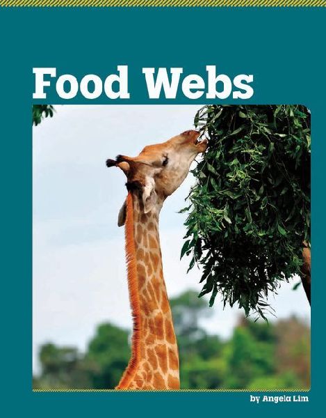 Food Webs